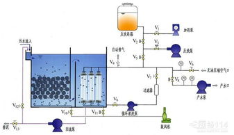 浅谈网络工程设计的核心要素与实施路径